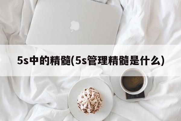 5s中的精髓(5s管理精髓是什么)